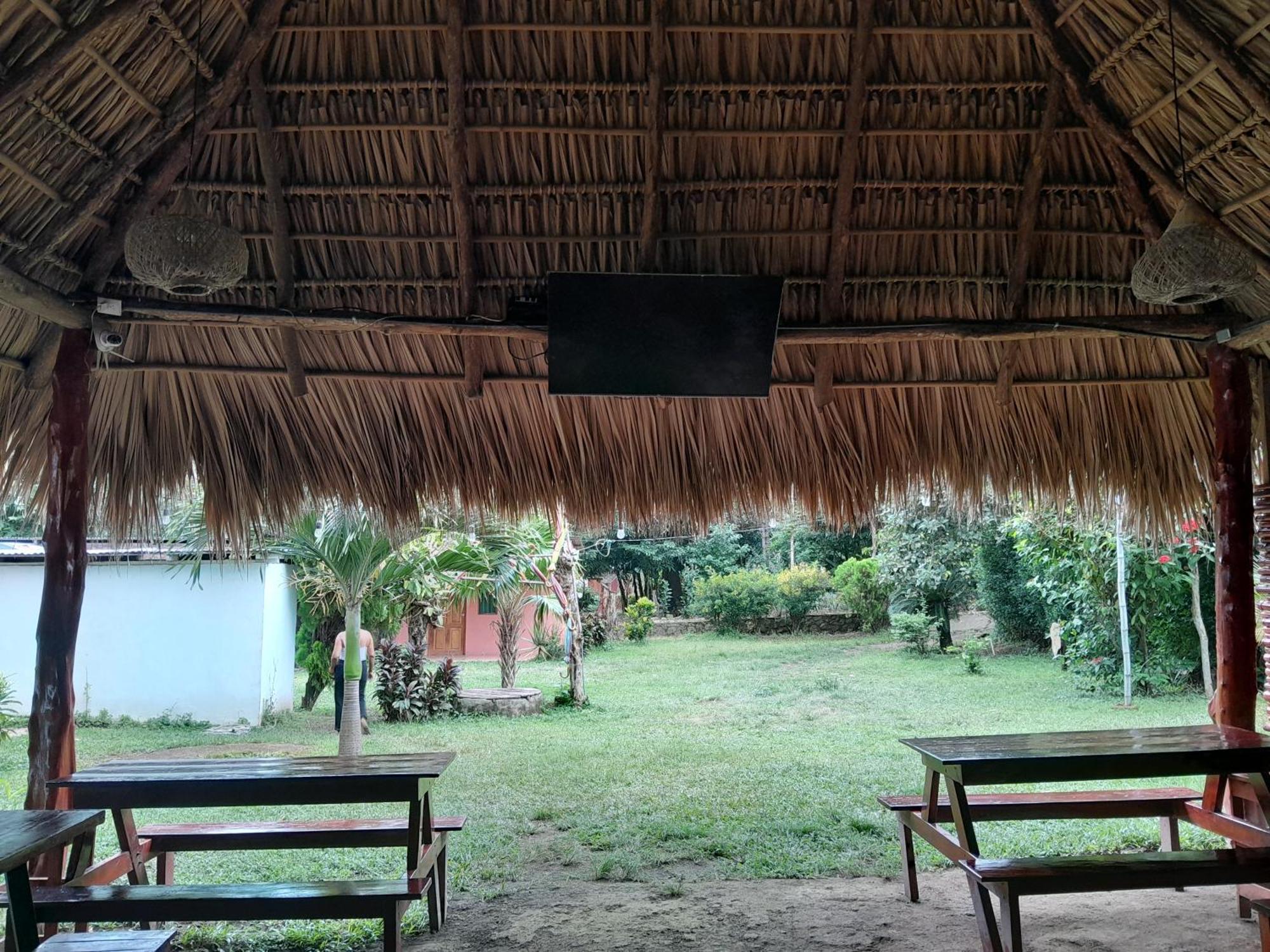 Hostel Los Chocoyos Mérida 외부 사진