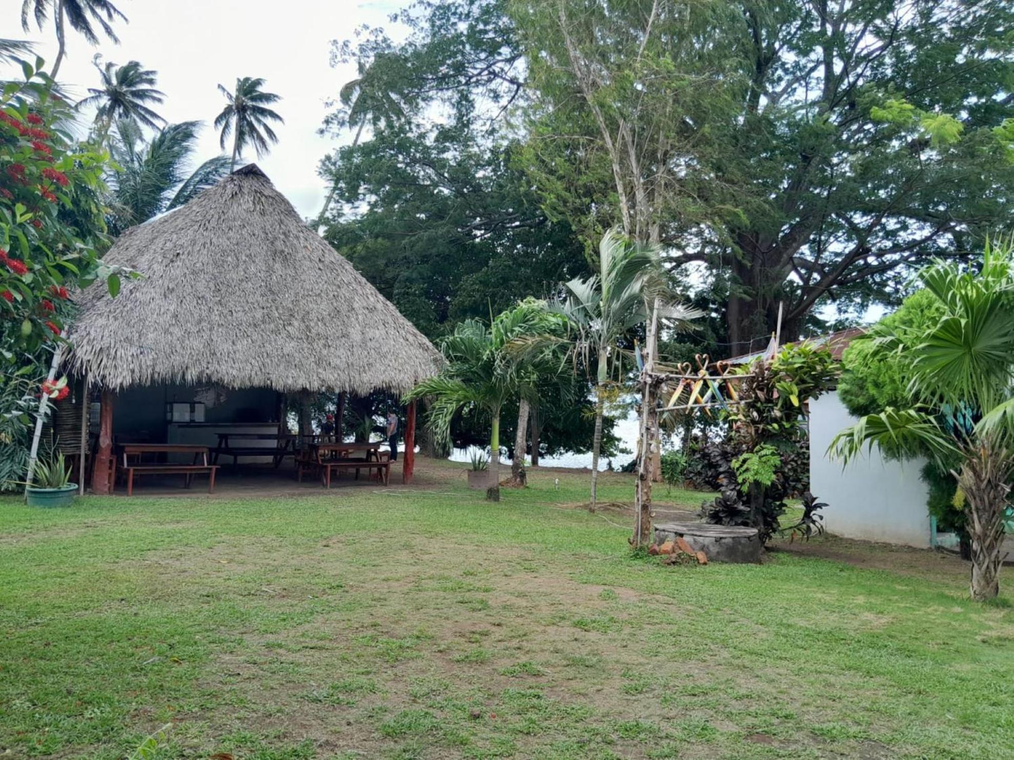 Hostel Los Chocoyos Mérida 외부 사진
