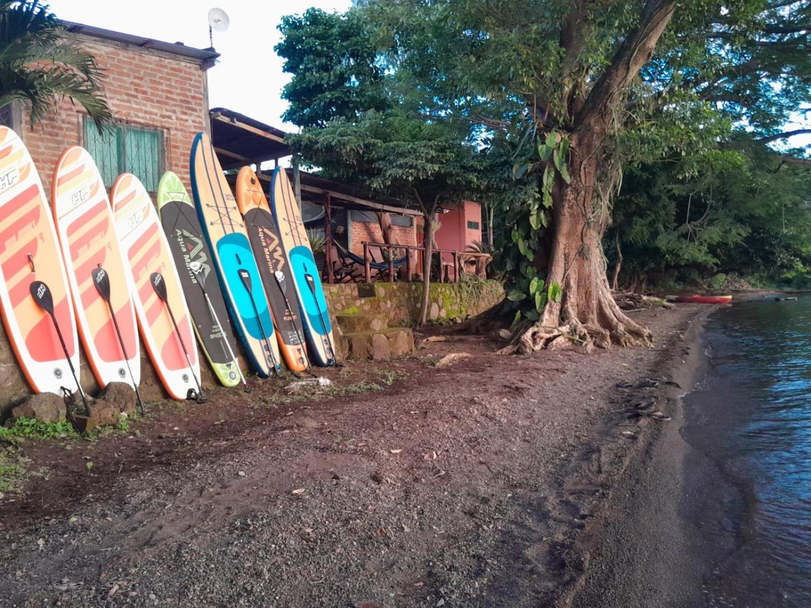 Hostel Los Chocoyos Mérida 외부 사진
