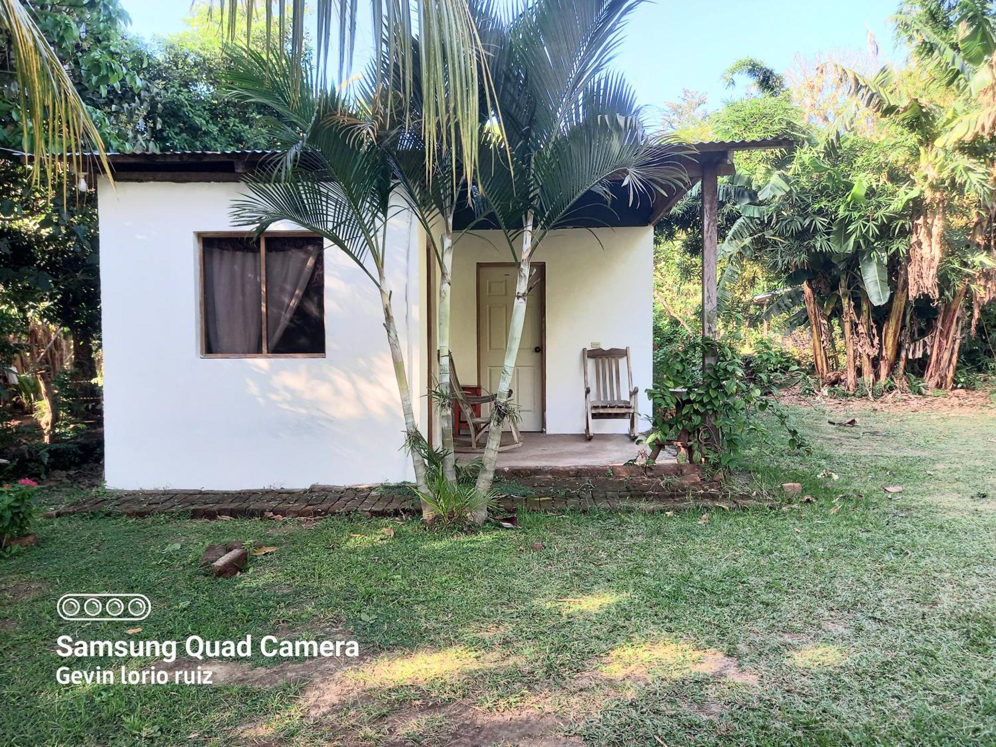 Hostel Los Chocoyos Mérida 외부 사진